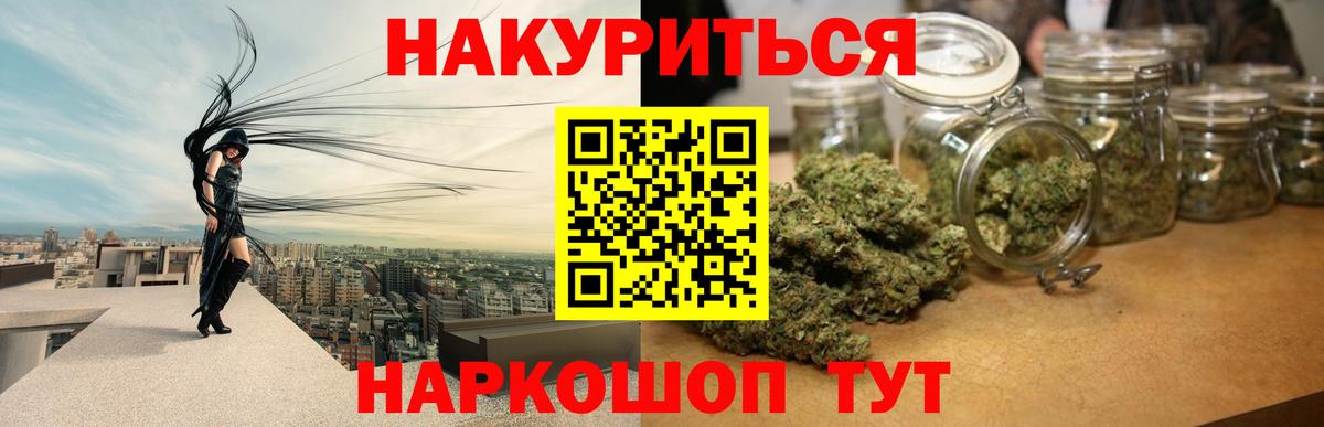 Канабис планчик Тара